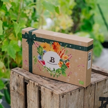 Årets frø julekalender mix